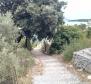 Magnifique terrain avec vue dégagée sur la mer sur l'île de Korcula - pic 7