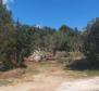 Grand terrain urbain sur l'île de Pasman, à 60 mètres de la plage - pic 9