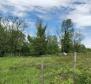 Building plot for investors in Visnjan area near Porec - pic 12