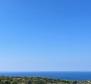 23.450 nm-es mezőgazdasági terület 6.000 szőlővel, kőházzal és tengerre néző kilátással Vis szigeten 
