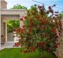 Beautiful 5***** villa with swimming pool in Rovinj outskirts - pic 39