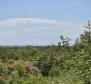 Städtisches Grundstück zum Verkauf in Buje, für 3 Luxusvillen, mit herrlichem Meerblick - foto 10