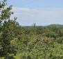 Städtisches Grundstück zum Verkauf in Buje, für 3 Luxusvillen, mit herrlichem Meerblick - foto 12