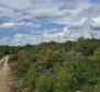 Städtisches Grundstück zum Verkauf in Buje, für 3 Luxusvillen, mit herrlichem Meerblick - foto 13