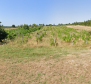 Zemědělská půda s bohatou vinicí a olivovým hájem v Bale, Rovinj - pic 2