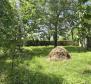 Tolles Investitionsobjekt in Svetveincenat - Steinhaus mit großem Garten - foto 22