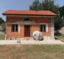 Olive grove on Krk with a farm building 