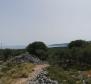 Olive grove on Krk with a farm building - pic 3