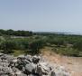 Olive grove on Krk with a farm building - pic 4