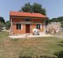 Olive grove on Krk with a farm building - pic 9