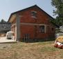 Olive grove on Krk with a farm building - pic 10