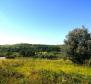 Building plot in Buje area on the edge of the construction zone, panoramic view  - pic 9