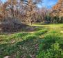 Merveilleuse combinaison de terrains agricoles et urbains à Valica, Umag 