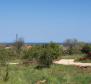 Building land with sea view in Porec area 900 meters from the sea - pic 3