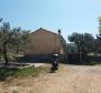 Duża działka rolna z gajem oliwnym w Splitskiej na Bracu - pic 9