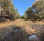 Terrain urbain sur l'île de Korcula, Blato - pic 7