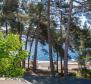 Apart-Haus mit Swimmingpool und 6 Apartments in erster Meereslinie auf Mali Losinj - foto 34