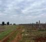 Land in Brtonigla, over 5 hectares 