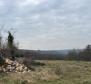 Land in Brtonigla, over 5 hectares - pic 3