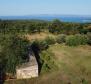 Fantastisches Anwesen in Peruški, Marčana, zu verkaufen - foto 15