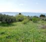 Rare terrain for sale in Brela with sea views, just 240 meters from the sea - pic 3