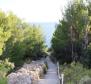 Exceptional property on Hvar island with 4 apartments, by the sea - pic 13