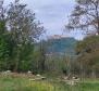 Construction + agri land in Motovun, for sale - pic 6