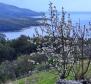 Unique urbanized land with sea views, in Rabac area, for sale - pic 2