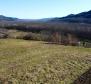 Stavební pozemek 1970 m2 s výhledem na Motovun, nebo prodej 