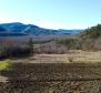 Stavební pozemek 1970 m2 s výhledem na Motovun, nebo prodej - pic 15