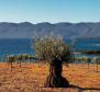 Großartiges Anwesen in erster Linie auf der Halbinsel Peljesac - foto 5