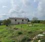 Estate of 9300 sq.m. with two houses for renovation in Svetvinčenat - pic 6