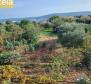 House with great investment potential in Kastela, for sale - pic 18