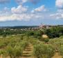 Willa o niesamowitej okolicy z panoramicznym widokiem w VIŠNJAN, POREC - pic 32