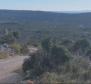 Plusieurs terrains à vendre dans la région de Rogoznica, avec vue lointaine sur la mer - pic 3