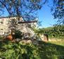 Stone house in Labin area with land plot of 3956 sq.m. - pic 2