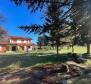 Gorgeous estate in Labin area on 20973 sq.m. of land - pic 4