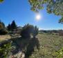 Gorgeous estate in Labin area on 20973 sq.m. of land - pic 20