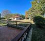 Gorgeous estate in Labin area on 20973 sq.m. of land - pic 22