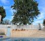 Semi-detached villa in Rovinj area with swimming pool, just 3,5 km from the sea - pic 11