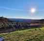 Steinhaus mit wunderschönem Meerblick in Groznjan - foto 3