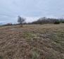 Agro land in Labin are, cca.2 hectares - pic 3