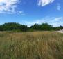 Land for sale of T2 purpose in Savudrija, Umag, 11.677m2 just 200m from the sea! - pic 4