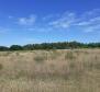 Land for sale of T2 purpose in Savudrija, Umag, 11.677m2 just 200m from the sea! - pic 5