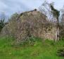 Fabulous estate in Istria on 25 hectares of land - pic 13