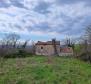 Fabulous estate in Istria on 25 hectares of land - pic 17