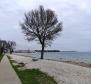 Einzigartiges Stadtgrundstück zum Verkauf in Fažana, 50 m vom Strand entfernt - foto 12