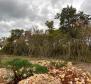 Trois villas de luxe dans le quartier Kastelir de la région de Porec, vue lointaine sur la mer - pic 5