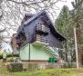 Wonderful idyllic wooden holiday house Vrbovsko, Gorski Kotar - pic 2