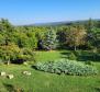 Domaine à Brtonigla sur 9600 m². de terre - pic 4